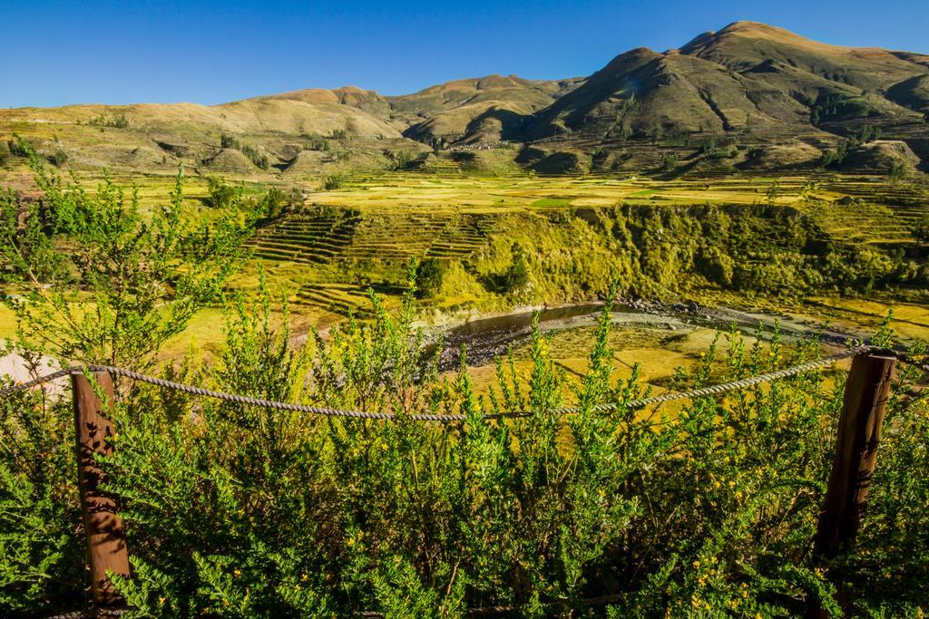 Eco Inn Colca Yanque Exteriör bild