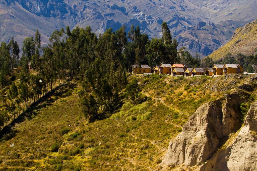 Eco Inn Colca Yanque Exteriör bild
