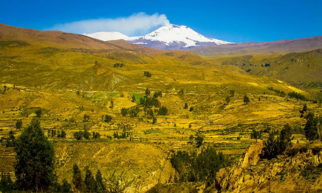 Eco Inn Colca Yanque Exteriör bild